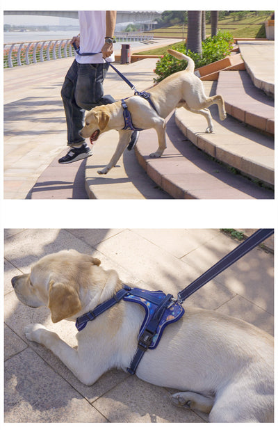 Arnés de Pecho Estilo Chaleco para Perros - Image 6