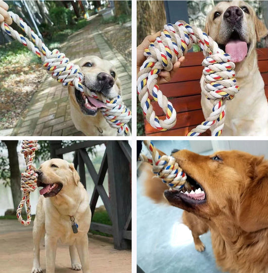 Juguete de Cuerda Nudos Grandes para Perros y Gatos - Limpieza Dental y Alivio de Estrés - Image 12