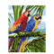 Pintura por Números - Papagayo Tropical