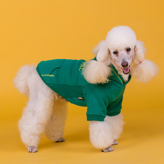Suéter Acolchado de Algodón Stretch para Mascotas - Image 6