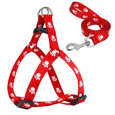 Correa para Perro Estampada - Image 21