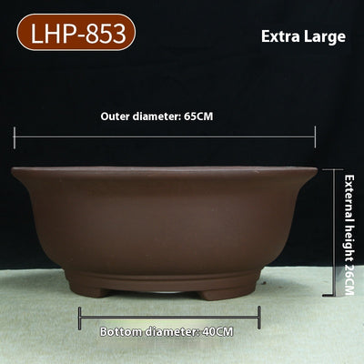 Maceta Cerámica Púrpura Grande 60cm para Árboles y Plantas Antiguas - Image 16