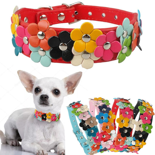 Collar para Mascota con Doble Fila de Flores