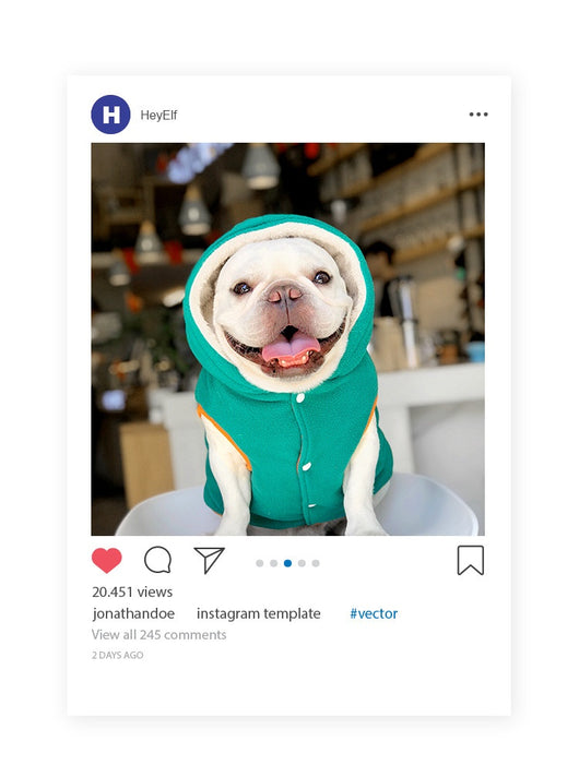 Abrigo Térmico Reversible para Perros y Gatos - Algodón Grueso con Forro Polar Invierno - Image 16