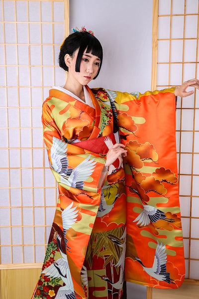 Kimono Formal Nubes Auspiciosas y Grúas - Diseño Tradicional Jinxiutu - Image 12