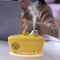 Humidificador Purificador de Aire Portátil USB Mini
