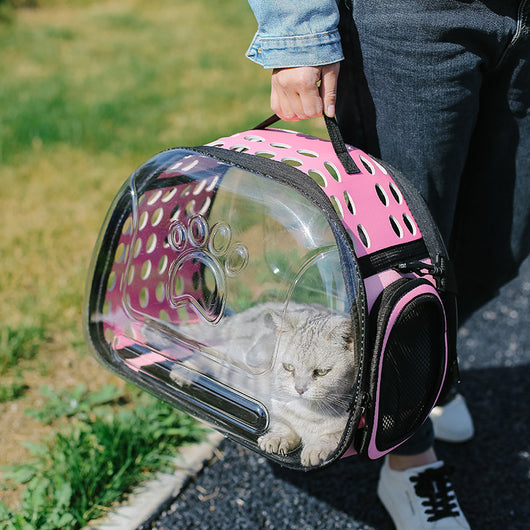 Mochila Escolar Transparente para Mascotas - Diseño Portátil para Gatos - Image 11