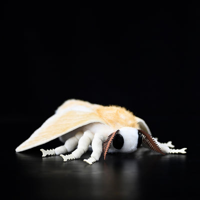 Peluche de Polilla Gusano de Seda - Muñeco Coleccionable de la Serie Insectos - Image 2