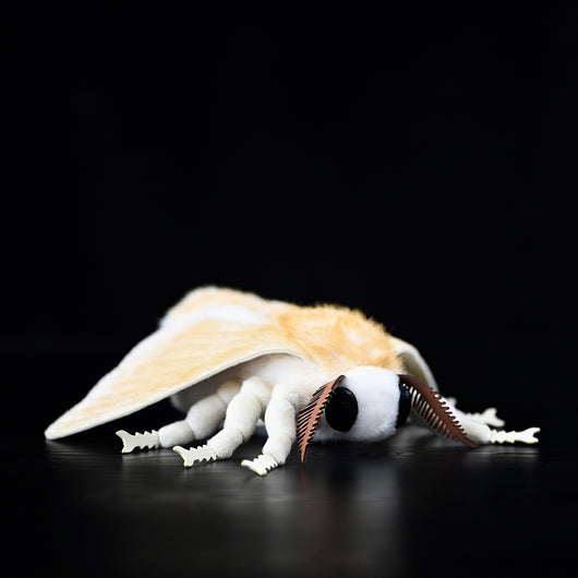 Peluche de Polilla Gusano de Seda - Muñeco Coleccionable de la Serie Insectos - Image 2