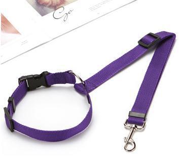 Arnés de Seguridad Multicolor para Mascotas en Auto - Image 34