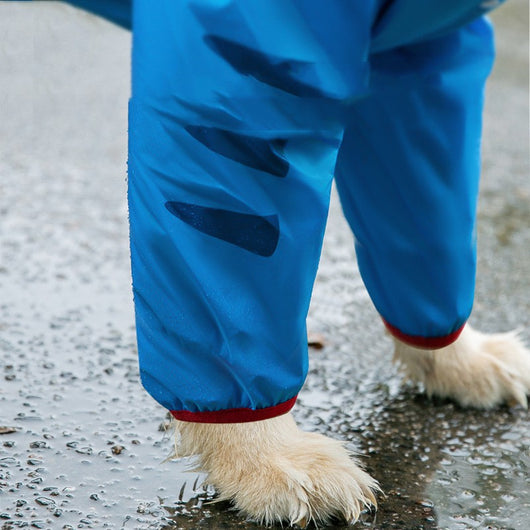 Impermeable para Perros Medianos y Grandes - Protección Total de 4 Patas - Image 4