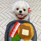 Juguetes Interactivos para Perros con Escondites de Comida