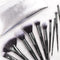 Set de 10 Brochas de Maquillaje Profesional para Principiantes