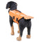 Chaleco Salvavidas con Traje de Baño para Perros