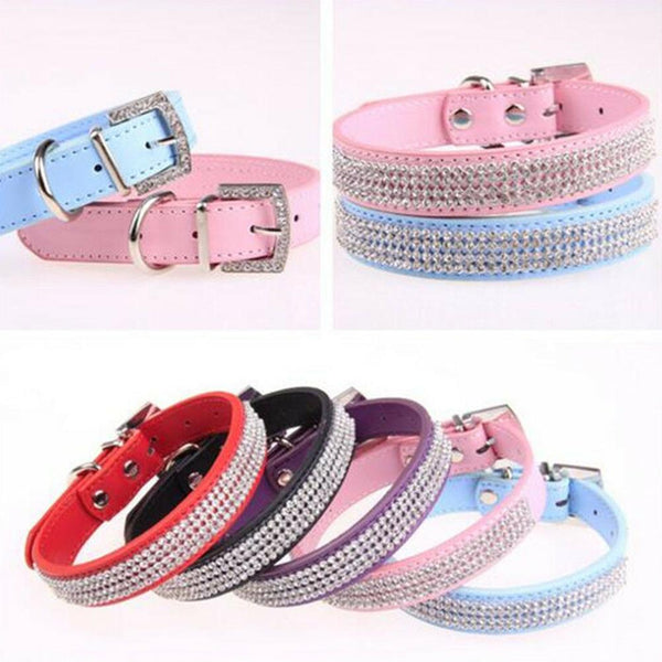 Collar Resistente al Agua para Mascotas