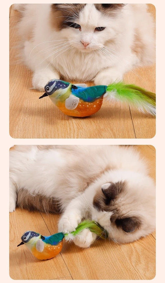 Juguete Interactivo para Gatos con Pájaro Cantante y Movimiento - Image 13