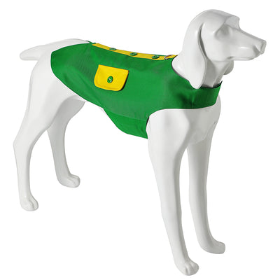 Disfraz de Festival Irlandés para Mascotas - Image 17