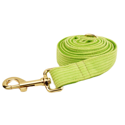 Collar para Perro de Terciopelo Suave - Image 18