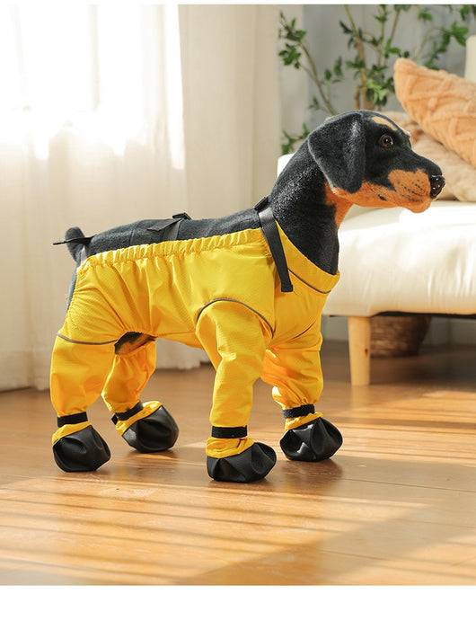 Protectores de Patas Impermeables para Perros - Image 13