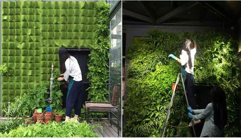 Bolsa de Cultivo Vertical para Pared - Jardín Colgante Multibolsillo para Huerto Urbano - Image 6