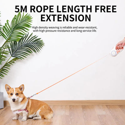 Correa Retráctil para Perros 3 y 5 Metros - Extensible Automática para Mascotas Grandes - Image 11