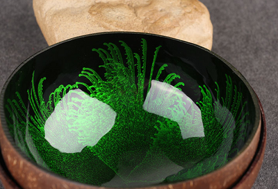 Tazón de Cáscara de Coco Ecológico - Image 3
