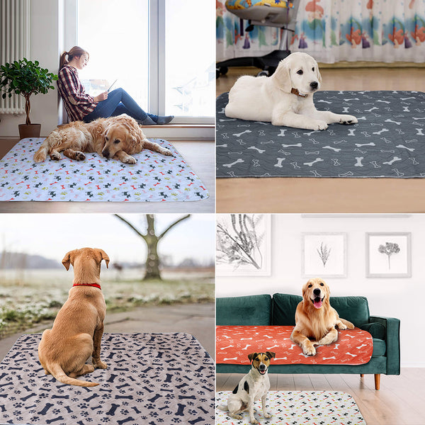 Pañal Reutilizable para Perros