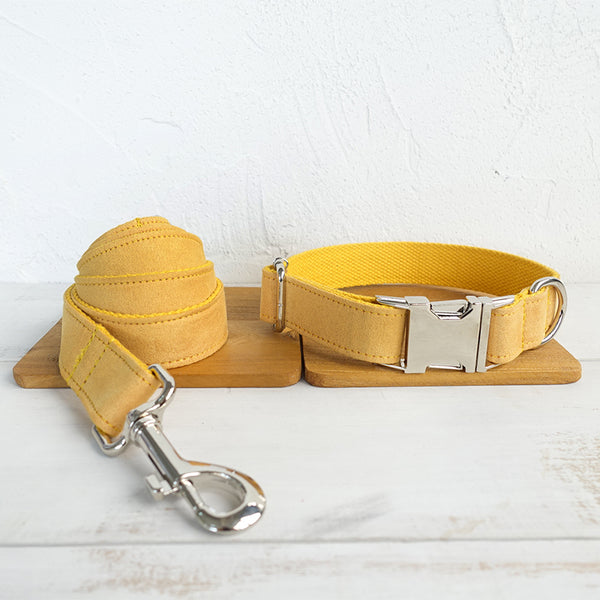 Collar Ajustable para Perro