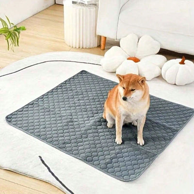 Pañales Lavables para Perros - Almohadillas Reutilizables Impermeables - Image 25