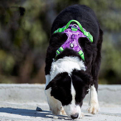 Arnés de Tracción para Perros - Image 6