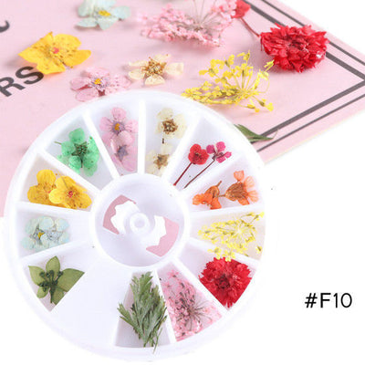 Flores Secas para Nail Art - Image 14