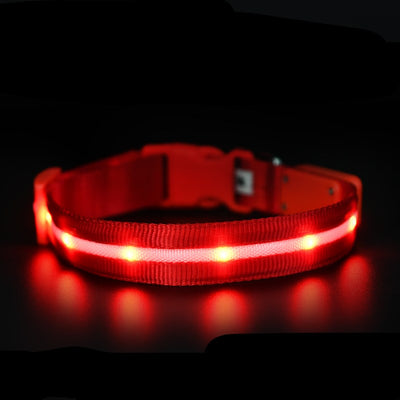 Collar Luminoso USB para Mascotas - Seguridad Nocturna Recargable - Image 8