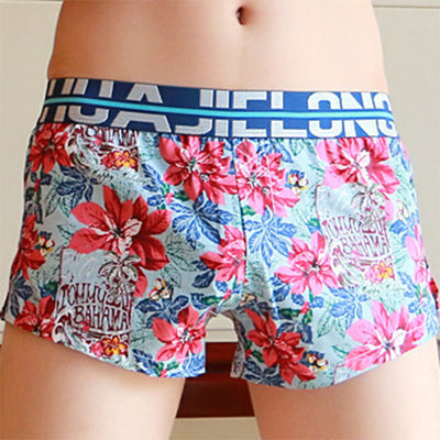 Calzoncillos de Algodón Estampados para Hombre
