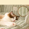 Colchoneta Térmica Premium para Mascotas - Cama Confort para Perros y Gatos