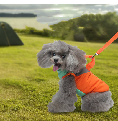 Abrigo Acolchado de Algodón para Perros - Calidez Invernal - Image 2