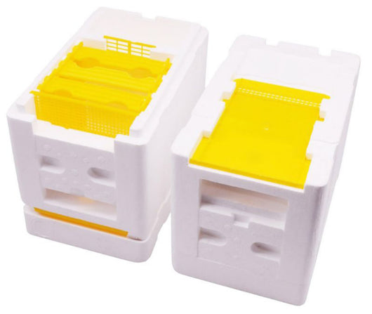 Kit Profesional de Herramientas para Reproducción y Polinización de Abejas Reinas - Image 3