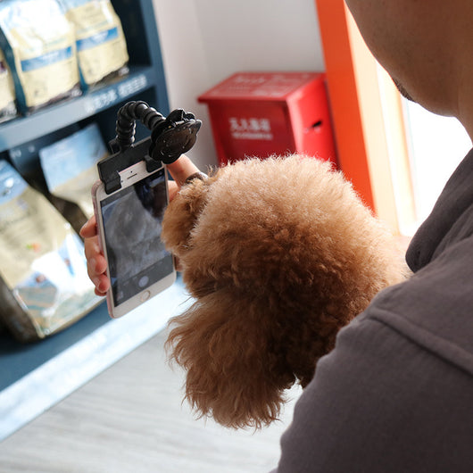 Palo Selfie para Mascotas - Captura Momentos Divertidos - Image 12