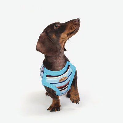 Ropa Fresca para Perros Pequeños y Medianos - Image 4