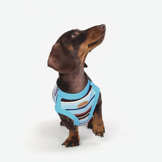Ropa Fresca para Perros Pequeños y Medianos - Image 4
