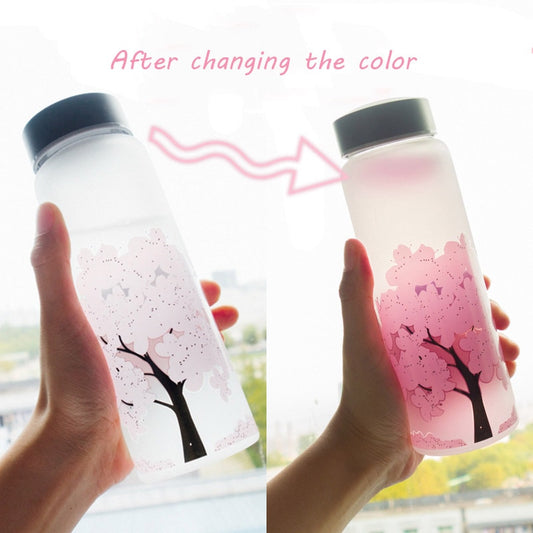 Vaso Inteligente Termocromático con Cambio de Color