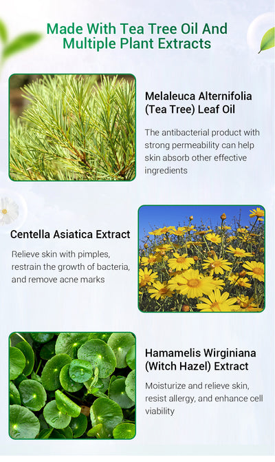Crema Facial de Árbol de Té BREYLEE - Tratamiento Anti-Acné y Cicatrices - Image 9