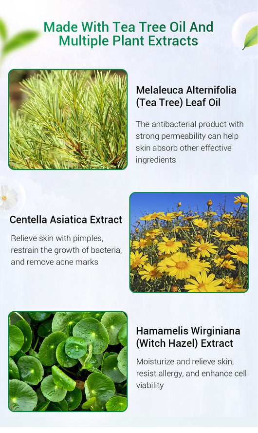 Crema Facial de Árbol de Té BREYLEE - Tratamiento Anti-Acné y Cicatrices - Image 9