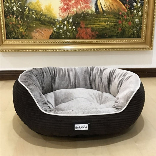 Casa Refugio para Gatos y Perros - Image 2