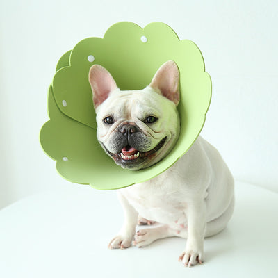 Collar Protector Antilamido con Cubierta Girasol para Mascotas - Image 3