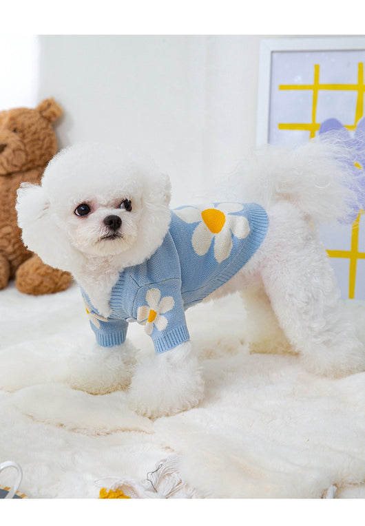 Ropa de Abrigo Otoño-Invierno para Mascotas Pequeñas: Pomerania, Schnauzer, Bichón y Gatos - Image 19