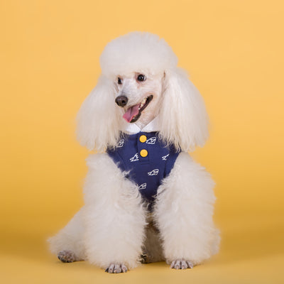 Ropa Elástica de Algodón para Perros - Primavera y Verano - Image 7