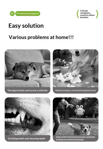 Juguete Interactivo Antiaburrimiento para Perros - Image 20