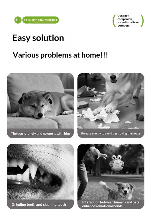 Juguete Interactivo Antiaburrimiento para Perros - Image 20