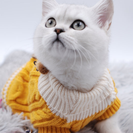 Suéter Elegante con Botones para Perros - Image 18