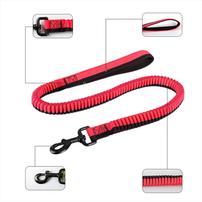 Correa Elástica Anti-Tirones para Perros Medianos y Grandes - Entrenamiento Seguro - Image 11
